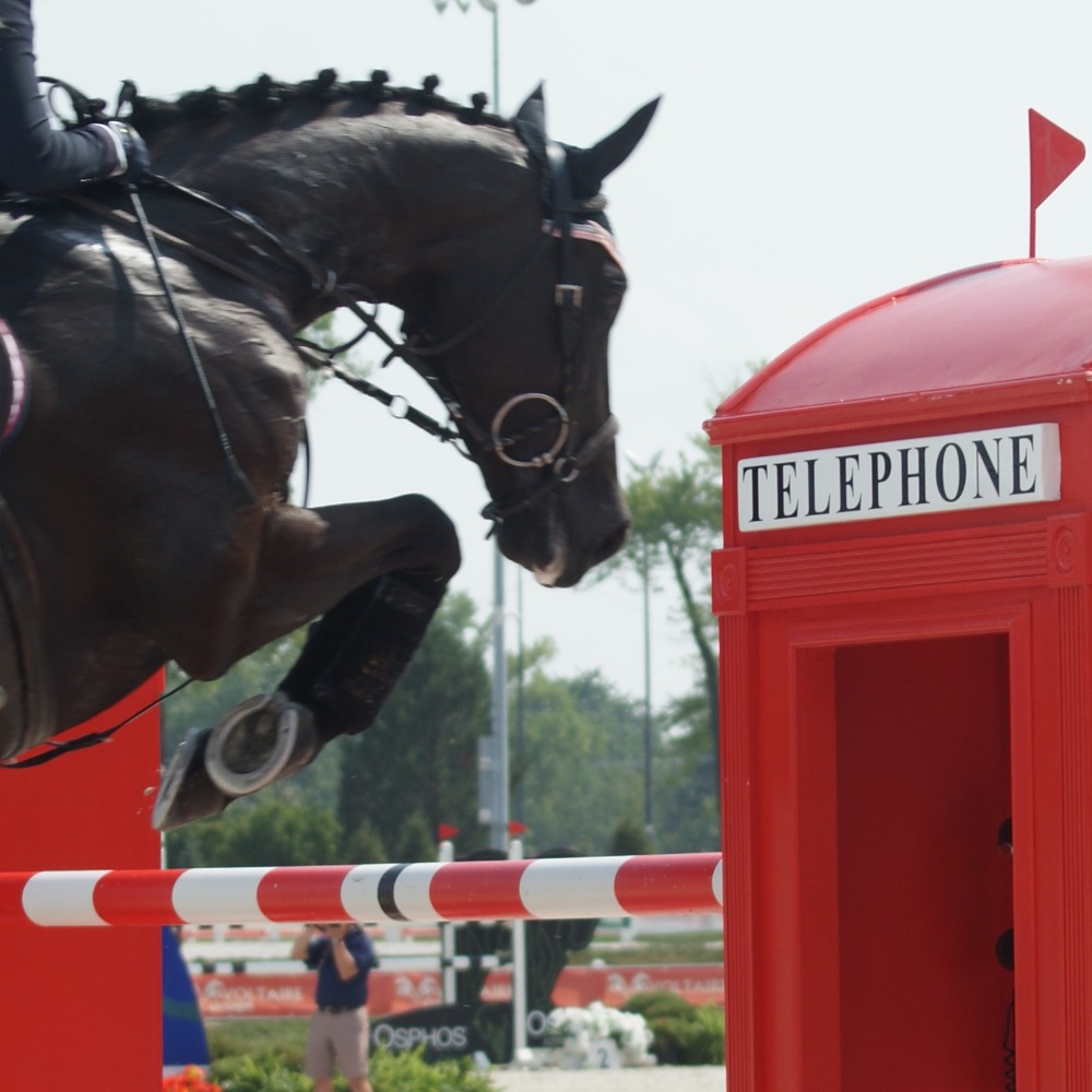 Meet your Posher, Peyton